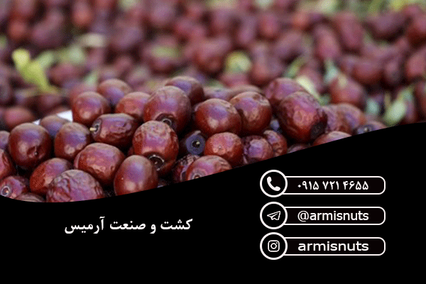 قیمت عناب خشک