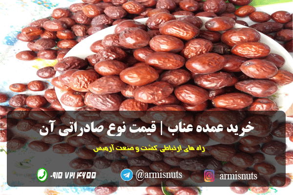 خرید عمده عناب | قیمت نوع صادراتی آن